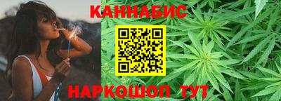 Альфа ПВП Можга
