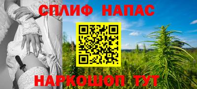 шишки Моздок