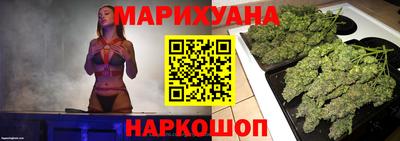 Альфа ПВП Можга