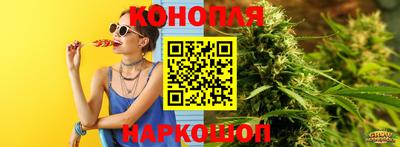 Альфа ПВП Можга