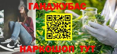 Альфа ПВП Можга